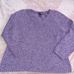 Purple V-Neck Sweater Size 18/20